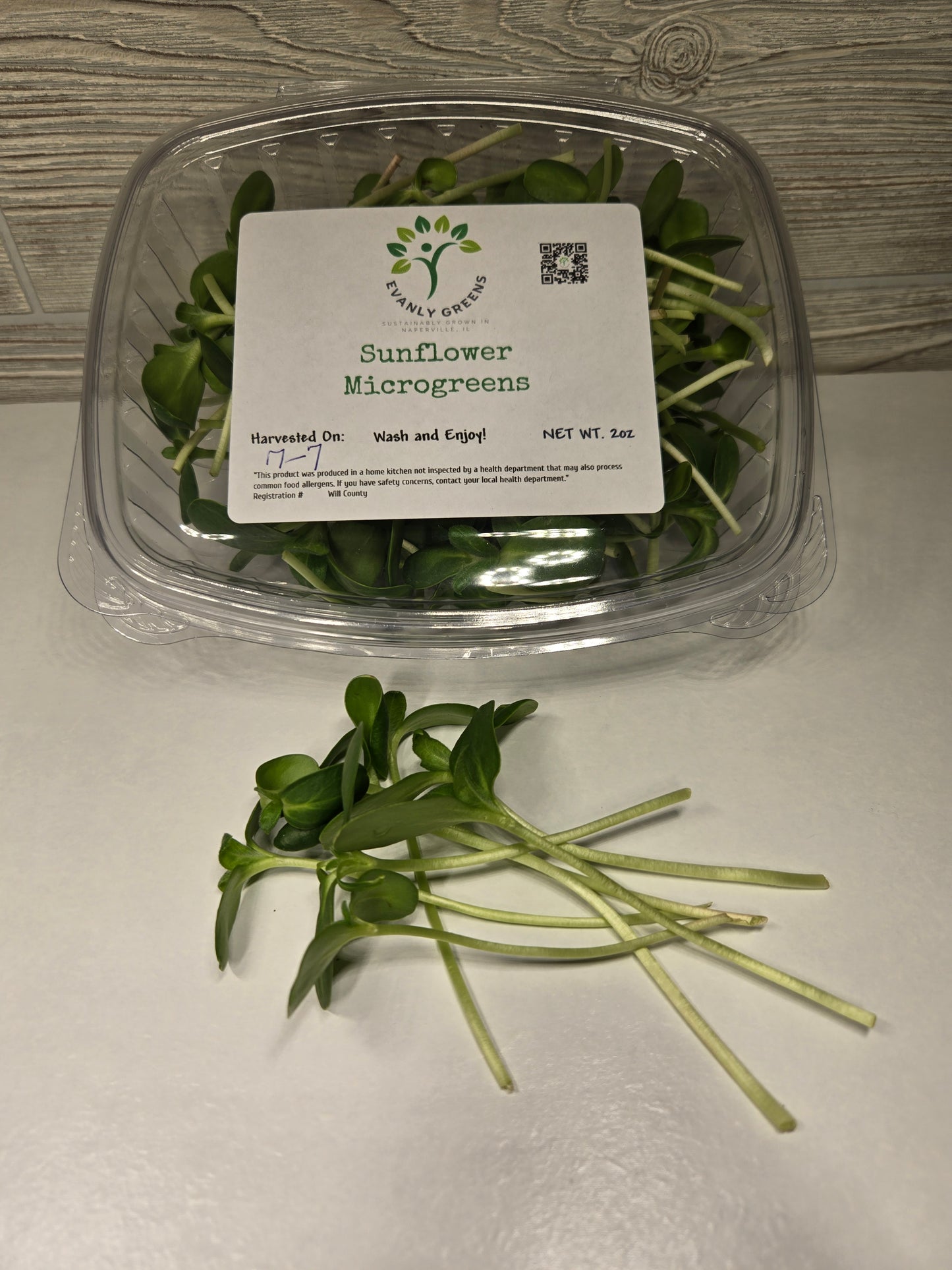 Sunflower Shoots