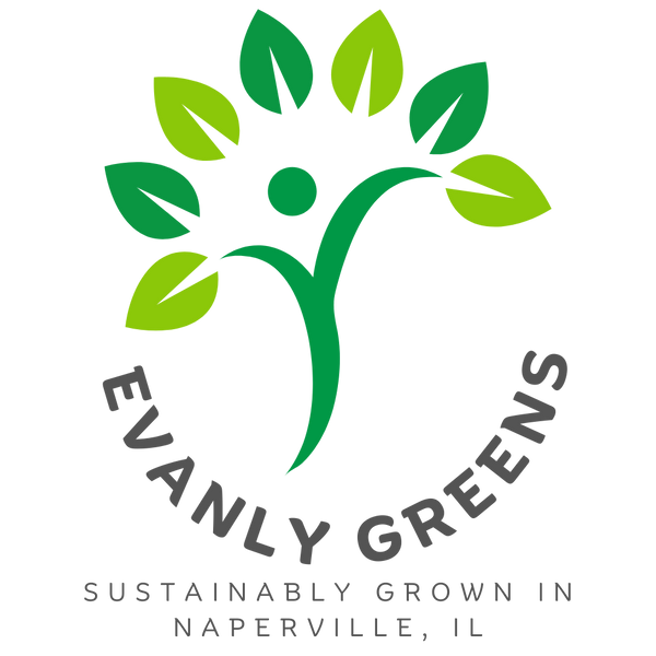 Evanly Greens Farm